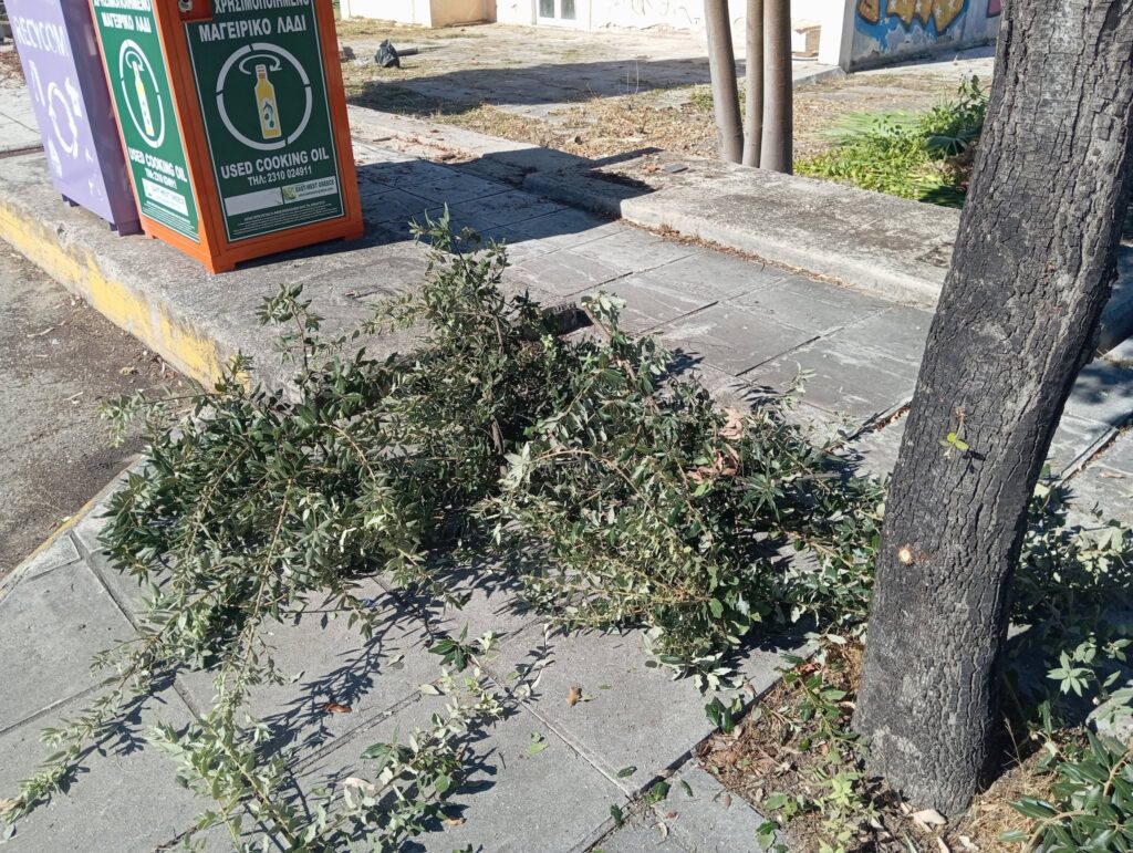 Ιτεών: Αντιδράσεις για εργασίες καθαρισμού και κούρεμα πρασίνου με ιδιώτη ΦΩΤΟ