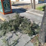Ιτεών: Αντιδράσεις για καθαρισμό από τον δήμο με ιδιώτη ΦΩΤΟ