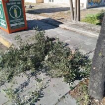 Ιτεών: Αντιδράσεις για εργασίες καθαρισμού και κούρεμα πρασίνου με ιδιώτη ΦΩΤΟ