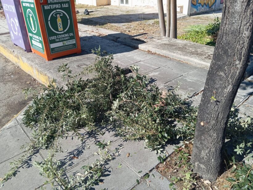 Ιτεών: Αντιδράσεις για εργασίες καθαρισμού και κούρεμα πρασίνου με ιδιώτη ΦΩΤΟ 4 Ιτεών: Αντιδράσεις για εργασίες καθαρισμού και κούρεμα πρασίνου με ιδιώτη ΦΩΤΟ