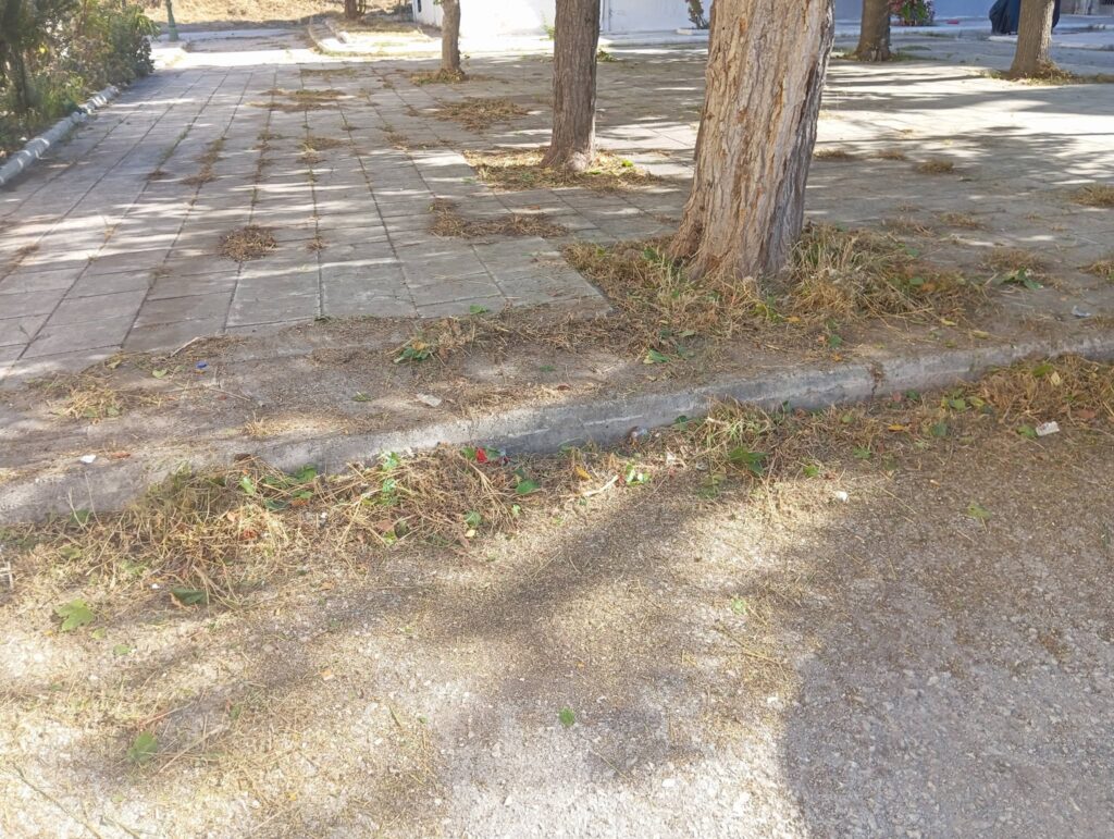 Ιτεών: Αντιδράσεις για εργασίες καθαρισμού και κούρεμα πρασίνου με ιδιώτη ΦΩΤΟ