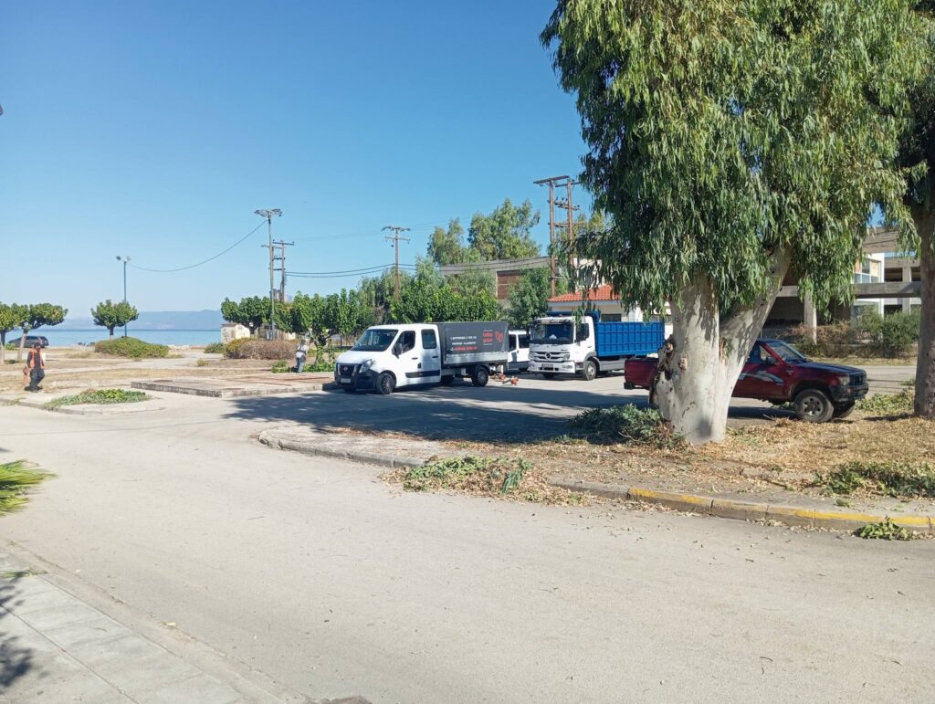 Ιτεών: Αντιδράσεις για εργασίες καθαρισμού και κούρεμα πρασίνου με ιδιώτη ΦΩΤΟ