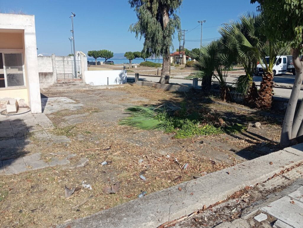 Ιτεών: Αντιδράσεις για εργασίες καθαρισμού και κούρεμα πρασίνου με ιδιώτη ΦΩΤΟ