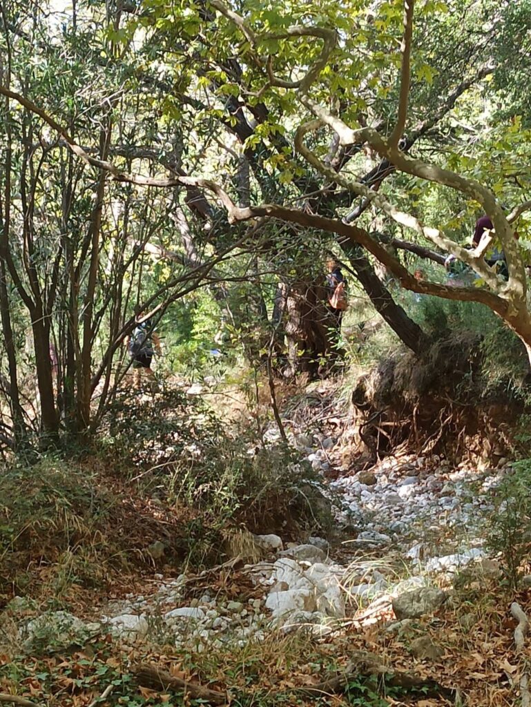 Εξόρμηση στο φαράγγι της Δέσης από τους «Πεζοπόρους της Πάτρας» ΦΩΤΟ