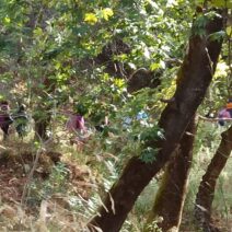 Εξόρμηση στο φαράγγι της Δέσης από τους «Πεζοπόρους της Πάτρας» ΦΩΤΟ 1 Φωτογραφία της εξόρμησης στο φαράγγι της Δέσης κατά του Πεζοπόρου …