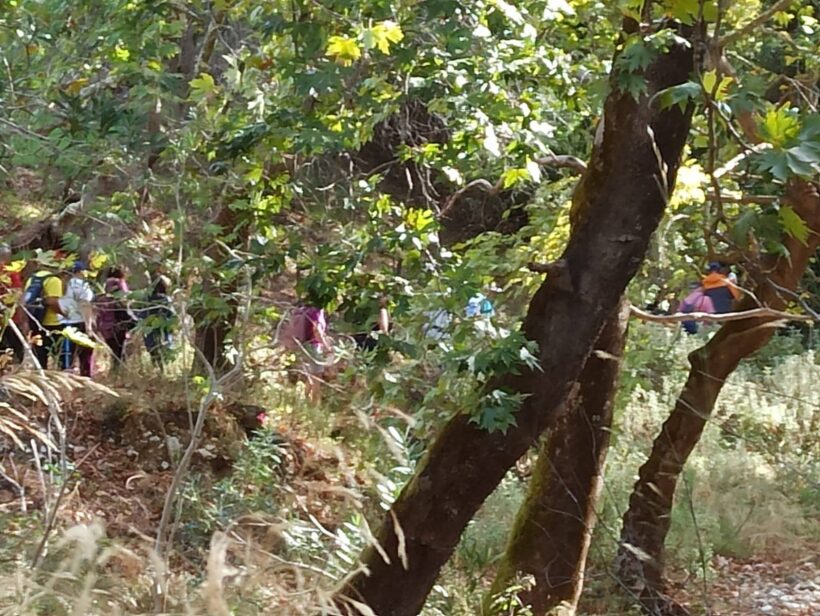 Φωτογραφία της εξόρμησης στο φαράγγι της Δέσης κατά του Πεζοπόρου …