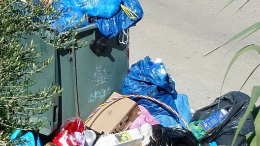 Ζαρουχλέικα: Ξεχειλίζουν οι κάδοι δίπλα σε σχολείο και Κέντρο Υγείας ΦΩΤΟ