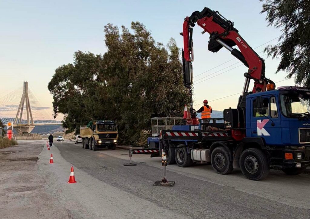 Ρίο: Απομακρύνθηκαν επικίνδυνα δέντρα για την κυκλοφορία των οχημάτων ΦΩΤΟ