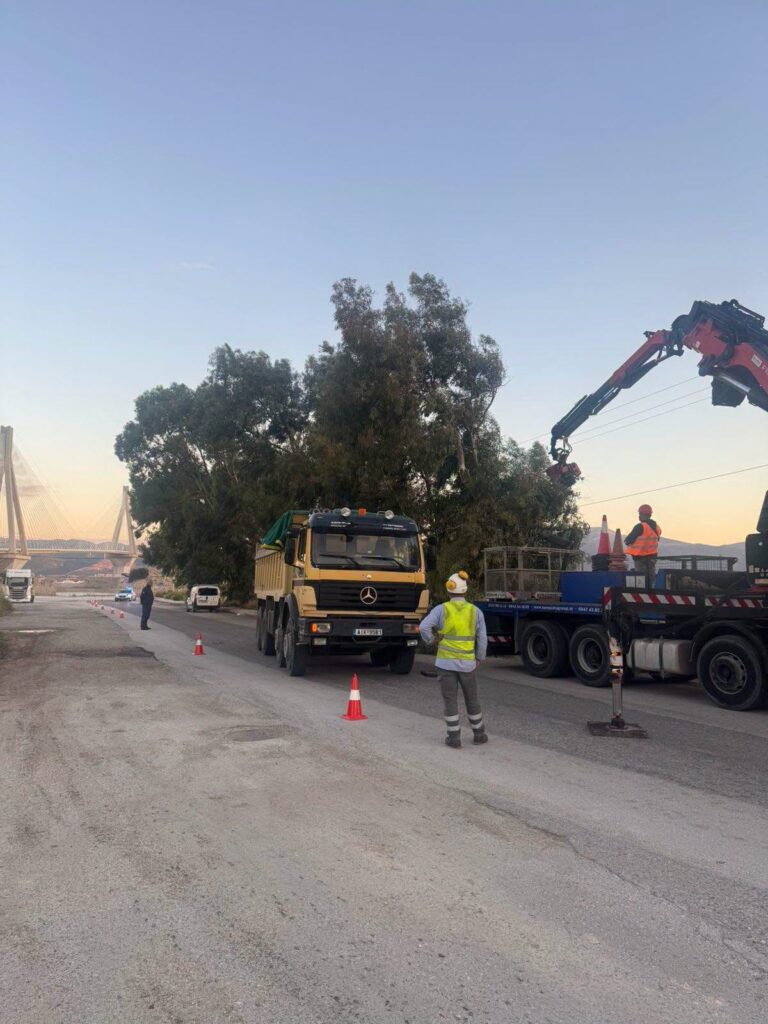 Ρίο: Απομακρύνθηκαν επικίνδυνα δέντρα για την κυκλοφορία των οχημάτων ΦΩΤΟ