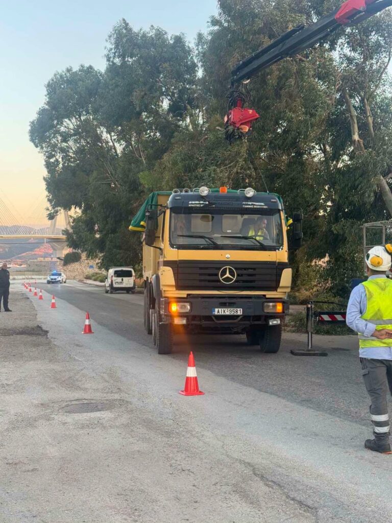 Ρίο: Απομακρύνθηκαν επικίνδυνα δέντρα για την κυκλοφορία των οχημάτων ΦΩΤΟ