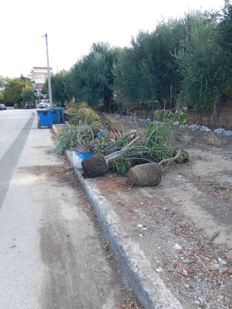 Πάτρα: «Πράσινη ανάπτυξη» με ρύπανση στην πλατεία Χατζή ΦΩΤΟ 5 Πάτρα: «Πράσινη ανάπτυξη» με ρύπανση στην πλατεία Χατζή ΦΩΤΟ