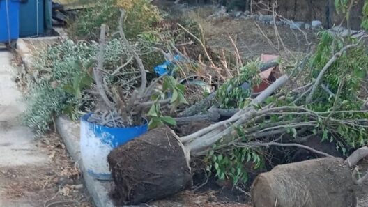 Πάτρα: «Πράσινη ανάπτυξη» με ρύπανση στην πλατεία Χατζή ΦΩΤΟ