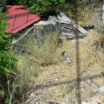 Κυψέλη: «Κλειδί» η εξέταση του ανθρωπολόγου για τα ανθρώπινα οστά που βρέθηκαν σε χωράφι