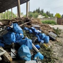 Πάτρα: «Πνίγονται» τα νεκροταφεία - Αυξημένη βλάστηση, γεμάτοι κάδοι, παρατημένοι διάδρομοι - Ο αρμόδιος αντιδήμαρχος στο Patrapress ΦΩΤΟ 2 Πάτρα: «Πνίγονται» τα νεκροταφεία - Αυξημένη βλάστηση, γεμάτοι κάδοι, παρατημένοι διάδρομοι - Ο αρμόδιος αντιδήμαρχος στο Patrapress ΦΩΤΟ