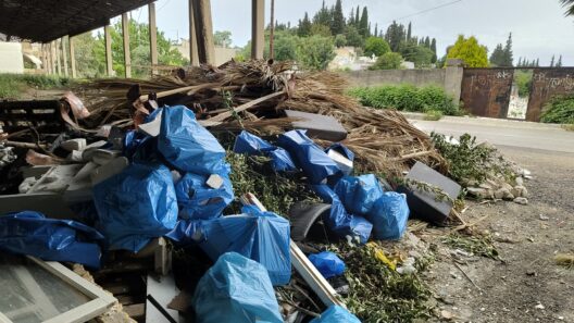 Πάτρα: «Πνίγονται» τα νεκροταφεία - Αυξημένη βλάστηση, γεμάτοι κάδοι, παρατημένοι διάδρομοι - Ο αρμόδιος αντιδήμαρχος στο Patrapress ΦΩΤΟ