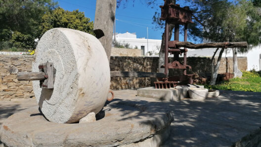 Από την «Αχαΐα Αναπτυξιακή» η αξιοποίηση του παλαιού Ελαιοτριβείου Ελίκης 12 Παραδοσιακό ελαιοτριβείο Ελίκη στο Μαρπίσσα της Πάρου, έργο Blue Heritage