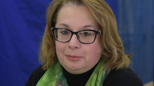 «Προβλήματα στην κοινότητα Αραχωβιτίκων» 12 «Προβλήματα στην κοινότητα Αραχωβιτίκων»
