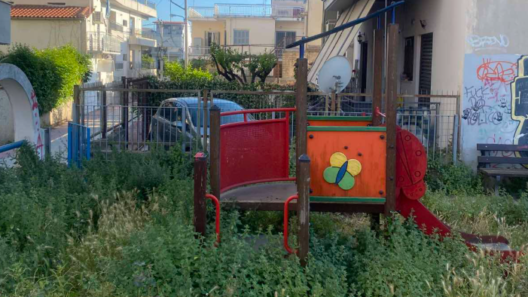 Πάτρα: Μόνιμη “ζούγκλα” η παιδική χαρά στην Καρατζά ΦΩΤΟ 12 Πάτρα: Μόνιμη “ζούγκλα” η παιδική χαρά στην Καρατζά ΦΩΤΟ