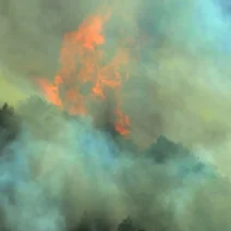 Μάχη με τις φλόγες στην Κόνιτσα – Στάχτη χιλιάδες στρέμματα 1 Φωτιά που καταπίνει την Κόνιτσα, με πυρκαγιά και καπνό στον ορίζοντα