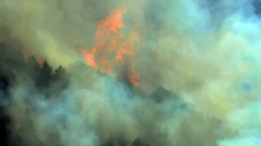 Μάχη με τις φλόγες στην Κόνιτσα – Στάχτη χιλιάδες στρέμματα 12 Φωτιά που καταπίνει την Κόνιτσα, με πυρκαγιά και καπνό στον ορίζοντα