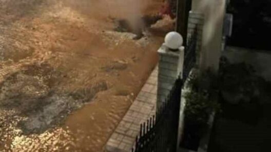 Υπερπλήρωση αυλών και σπίατια σε Κουκούλι, Πάτρα, μετά από σπάσιμο …