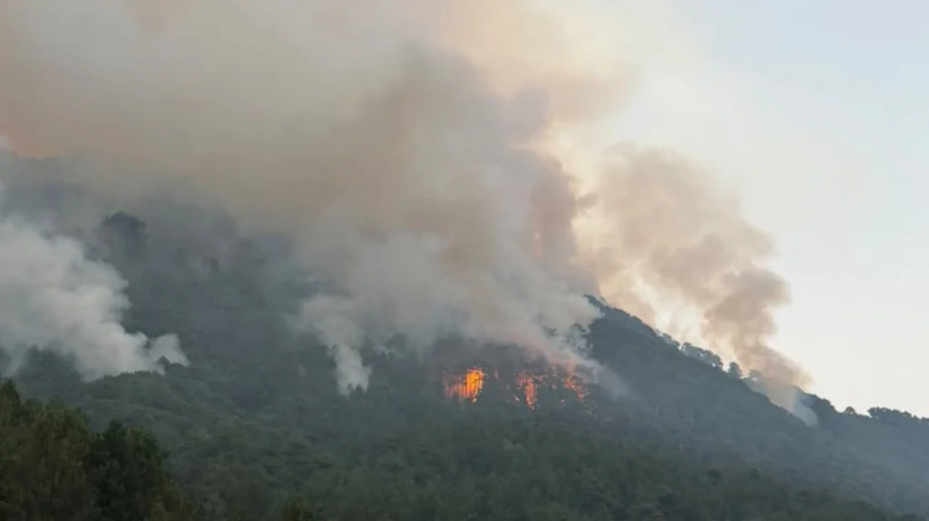 Κόνιτσα: Ανεξέλεγκτη η φωτιά - Εφιάλτης με αναζωπυρώσεις, επιχειρούν πάνω από 150 πυροσβέστες ΦΩΤΟ - ΒΙΝΤΕΟ