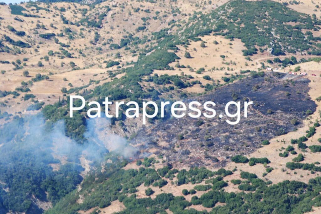 Αχαΐα: Φωτιά στους Πετσάκους Καλαβρύτων - Επιχειρούν 7 αεροσκάφη ΝΕΕΣ ΦΩΤΟΓΡΑΦΙΕΣ 5 Αχαΐα: Φωτιά στους Πετσάκους Καλαβρύτων - Επιχειρούν 7 αεροσκάφη ΝΕΕΣ ΦΩΤΟΓΡΑΦΙΕΣ