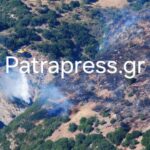 Καλάβρυτα: Φωτιά στους Πετσάκους - Με επτά αεροσκάφη στη μάχη της κατάσβεσης ΝΕΕΣ ΦΩΤΟ