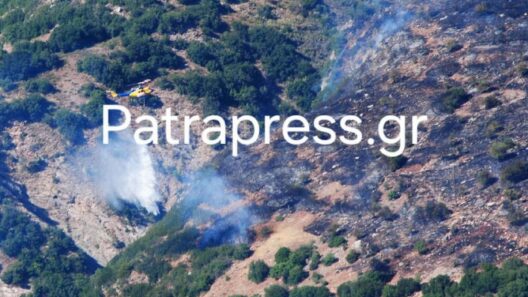 Φωτογραφία: Γεωργία Χασαποπούλου