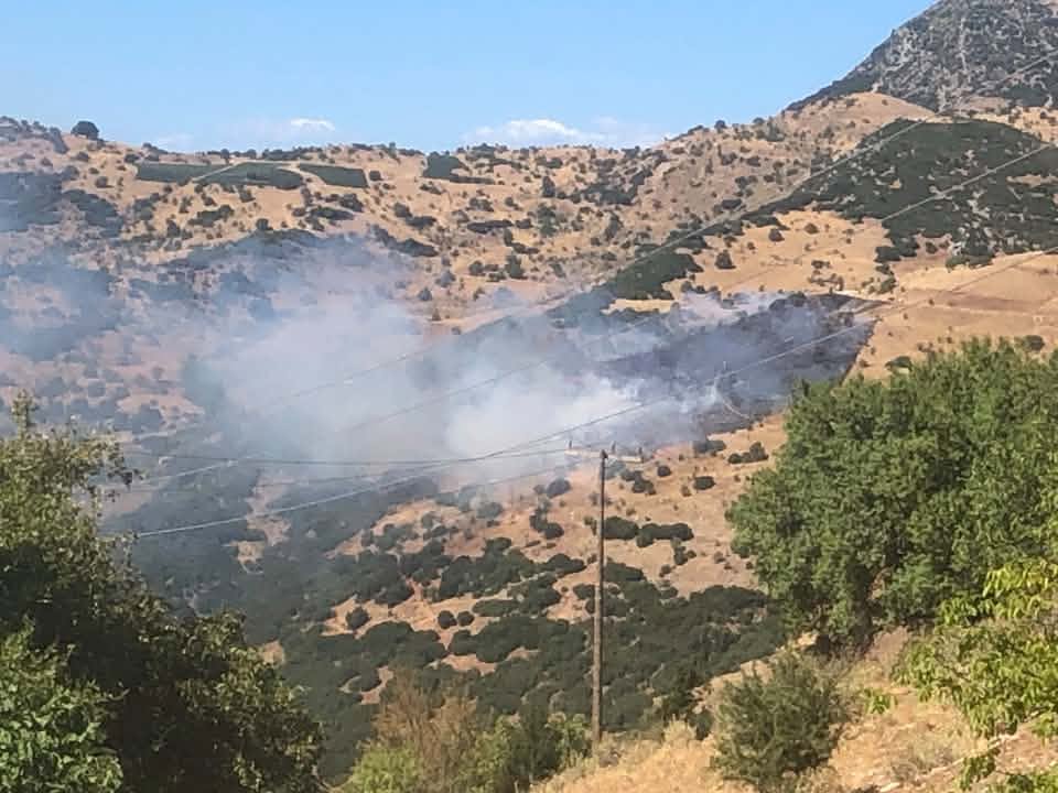 Αχαΐα: Φωτιά στους Πετσάκους Καλαβρύτων - Επιχειρούν 7 αεροσκάφη ΦΩΤΟ
