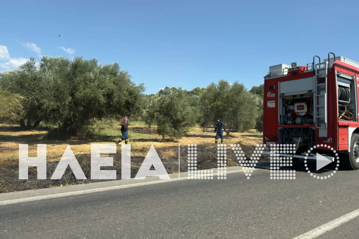 Δύο πυρκαγιές μέσα σε λίγα λεπτά στην Ηλεία – ΦΩΤΟ
