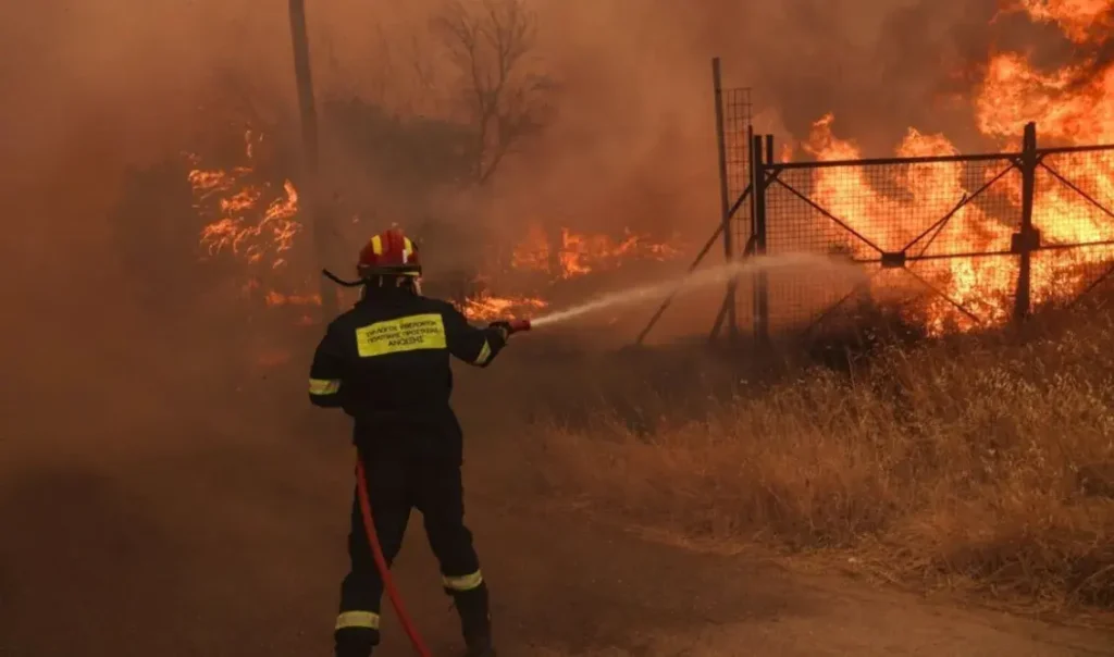 ΕΛΓΑ: 5 εκατ. ευρώ προκαταβολή στους παραγωγούς για ζημιές από τις πυρκαγιές του 2024