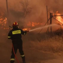 ΕΛΓΑ: 5 εκατ. ευρώ προκαταβολή στους παραγωγούς για ζημιές από τις πυρκαγιές του 2024 1 ΕΛΓΑ: 5 εκατ. ευρώ προκαταβολή στους παραγωγούς για ζημιές από τις πυρκαγιές του 2024