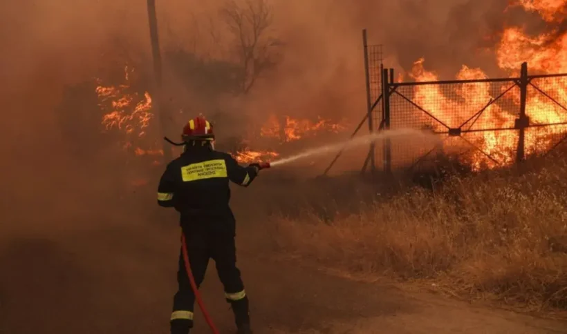 ΕΛΓΑ: 5 εκατ. ευρώ προκαταβολή στους παραγωγούς για ζημιές από τις πυρκαγιές του 2024 4 ΕΛΓΑ: 5 εκατ. ευρώ προκαταβολή στους παραγωγούς για ζημιές από τις πυρκαγιές του 2024