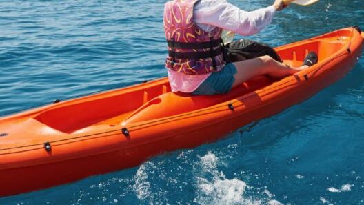 Πόρτο Κατσίκι: Επέμβαση σε χειριστές κανό λόγω αδιαθεσίας 12 Φωτογραφία του λιμάνι του Πόρτου Κάτσικι με νέες επενδύσεις