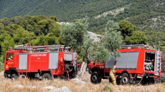 Αχαΐα: Συναγερμός για πολύ υψηλό κίνδυνο πυρκαγιάς με απαγόρευση κυκλοφορίας