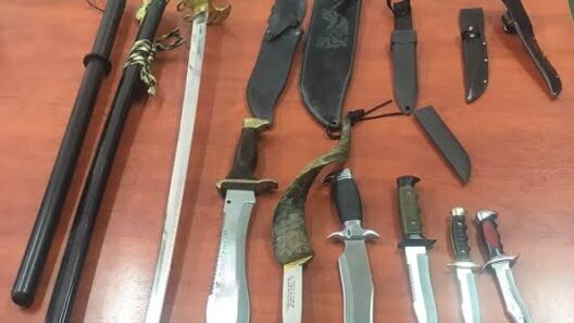 Ναύπακτος: Βρέθηκαν στο σπίτι του μαχαίρια σε έρευνα αστυνομικών 13 Ναύπακτος: Βρέθηκαν στο σπίτι του μαχαίρια σε έρευνα αστυνομικών