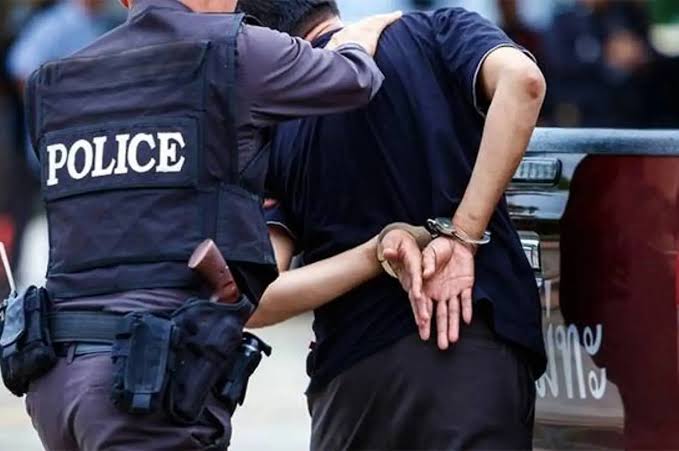 Κυκλοφορούν σε κύριο με φύλακή φύση στην περιοχή του Αίγιο