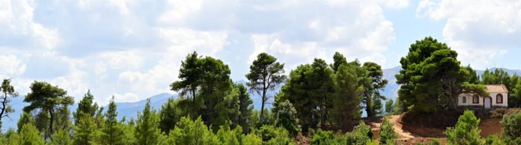 Ζήρια: Παρενέβη η Eισαγγελέας για την «παράνομη» ανεμογεννήτρια - Και την εκχέρσωση Δασικής έκτασης 6 Ζήρια: Παρενέβη η Eισαγγελέας για την «παράνομη» ανεμογεννήτρια - Και την εκχέρσωση Δασικής έκτασης