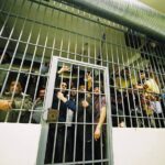 Πάτρα: Υπερπληθυσμός και απάνθρωπες συνθήκες στις φυλακές με καταδίκη από την ΕΕ