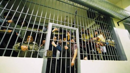 Πάτρα: Υπερπληθυσμός και απάνθρωπες συνθήκες στις φυλακές με καταδίκη από την ΕΕ 23 Πάτρα: Υπερπληθυσμός και απάνθρωπες συνθήκες στις φυλακές με καταδίκη από την ΕΕ