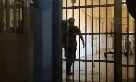 Αχαΐα: Αναγκαστικές μετακινήσεις γιατρών προς νησί από ΚΥ Αχαγιάς και Αγιο Στέφανο 6 Αχαΐα: Αναγκαστικές μετακινήσεις γιατρών προς νησί από ΚΥ Αχαγιάς και Αγιο Στέφανο