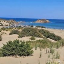 Αμμώδης παραλία με θίνες, θάμνους, γαλάζια θάλασσα και οικισμό στο …