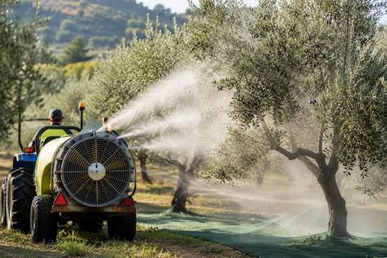 Αχαϊα: Ξεκινά ο τελευταίος δολωματικός ψεκασμός δακοκτονίας σε Πάτρα και Αιγιάλεια