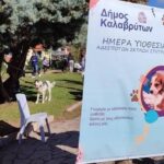 Καλάβρυτα: Καταφύγιο αδέσποτων στο Δασικό Φυτώριο Σκεπαστού με υπογραφή υπουργού