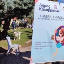 Καλάβρυτα: Καταφύγιο αδέσποτων στο Δασικό Φυτώριο Σκεπαστού με υπογραφή υπουργού 2 Καλάβρυτα: Καταφύγιο αδέσποτων στο Δασικό Φυτώριο Σκεπαστού με υπογραφή υπουργού