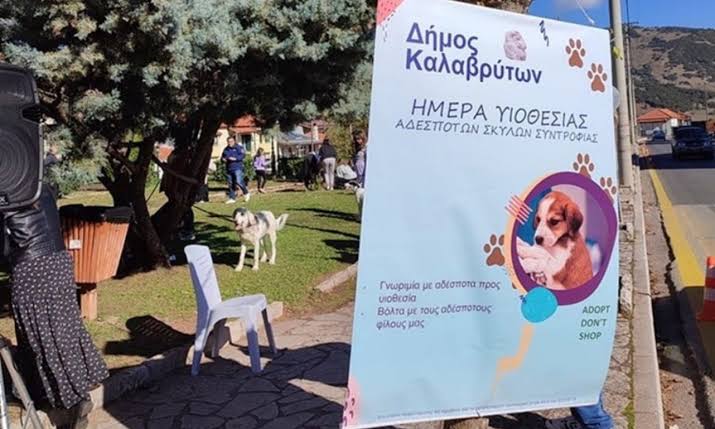 Καλάβρυτα: Καταφύγιο αδέσποτων στο Δασικό Φυτώριο Σκεπαστού με υπογραφή υπουργού