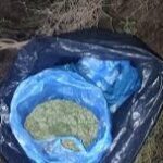 Αντίρριο: Συνέλαβαν τρεις άνδρες με κρυμμένα ναρκωτικά σε θάμνους