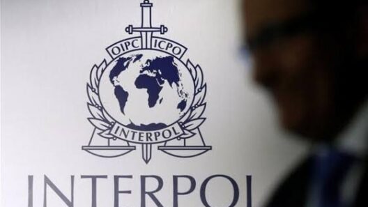 Πάτρα: Συνελήφθη για ένοπλη ληστεία με διεθνή αγγελία της Interpol 13 Πάτρα: Συνελήφθη για ένοπλη ληστεία με διεθνή αγγελία της Interpol