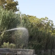 Ιός του Δυτικού Νείλου: Οι δήμοι που βρίσκονται στο «κόκκινο» 3 Ιός του Δυτικού Νείλου: Οι δήμοι που βρίσκονται στο «κόκκινο»